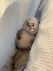 -Beauty Nails 美甲美睫皮肤管理