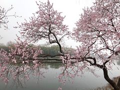 -颐和园