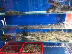 -虎虎龙虾•9年湖北匠(双井店)