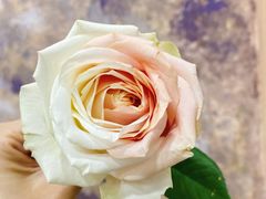 -森野花艺培训·企业团建活动沙龙