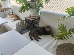 -小时光咖啡馆(北锣鼓巷店)