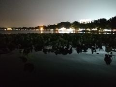 -西湖外事游船(湖滨二公园外事游船码头)