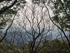 -雨花胜境