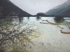 -黄龙山原始森林景区