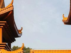 -深圳仙湖植物园-停车场