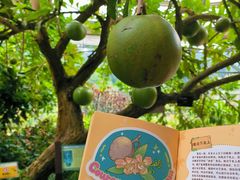 -中国科学院华南植物园