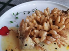 精灵松鼠桂鱼-海味观(老西门店)