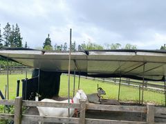 -前小桔亲子创意农场·草莓采摘·露营烧烤