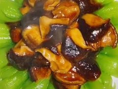-成都阿姨到家月嫂育儿嫂(华西店)