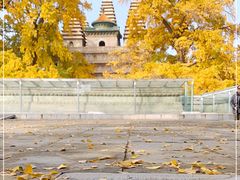 -北京石刻艺术博物馆(五塔寺)