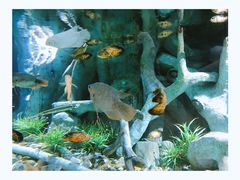 -福州罗源湾海洋世界旅游区