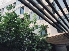 -杭州君悦酒店