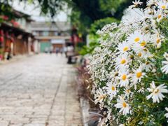 -正宗李家土鸡米线店