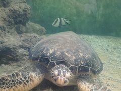 -苏州海洋馆