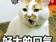 -萧邦音乐会所KTV(向西店)