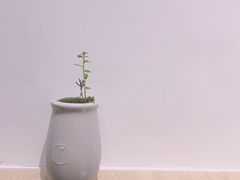 -扫雪煮茶(西村店)