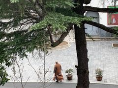 -古德寺