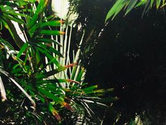 -龙达温泉生态城