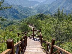 -大岭沟猕猴桃谷风景区