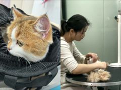 -四月宠物医院·猫专科·心脏专科·内科(转塘店)