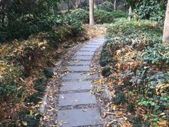 -杭州半山国家森林公园