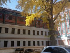 -国家图书馆·古籍馆