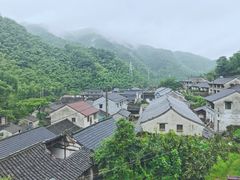 -四明山国家森林公园