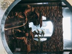 -尽膳·鱼鲜川菜(宽窄巷子店)