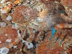-79号渔船海鲜饭店(宝安店)