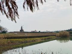 -大塘金香草谷