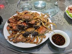 -正阳春烤鸭店(杨楼店)