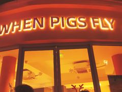 -WHEN PIGS FLY当猪飞
