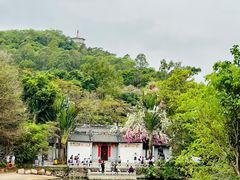 -深圳国际园林花卉博览园