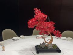 -西安饭庄·非遗陕菜(凤城五路店)