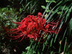 -天台山赤城山景区