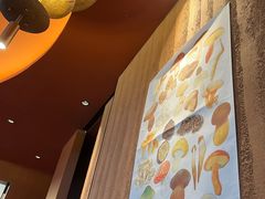 -滇野云南野生菌餐厅(陕西南路店)