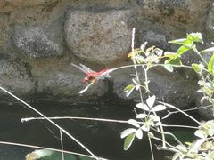 -荒度咖啡(北九水店)