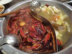 特色鸳鸯锅-大龙燚火锅(白石洲店)