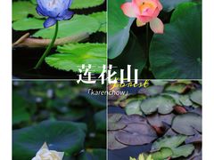 -广州莲花山旅游区