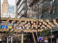 -星满杯TEAFUL(罗湖东门店)
