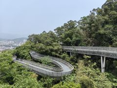 -福道