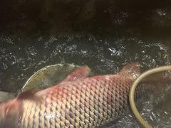 -松浦·观江国际