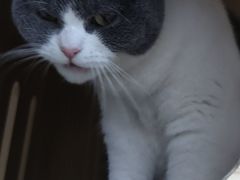 -云城照相馆(龙湖雨山天街店)