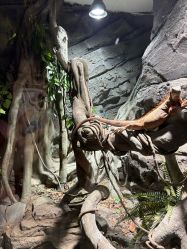 -Zoolung Zoolung动物主题公园(海信广场店)