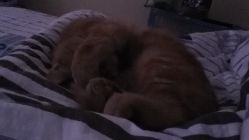 -5KM舞蹈街舞工作室