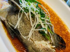 -森谷美食公园(杨行店)