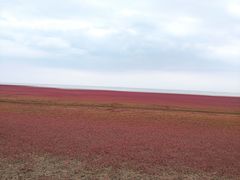 -红海滩国家风景廊道