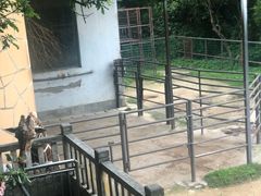 -福州动物园