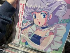 -浣熊唱片店(上海影城店)
