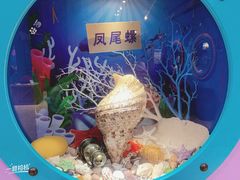 -多彩贵州城极地海洋世界